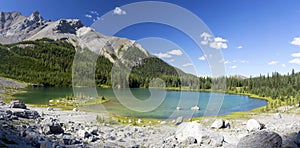 Panoramic Landscape View of Beautiful Elk Lake, Green Alpine Evergreen Forest and Rugged Peaks of Sawback Mountain Range