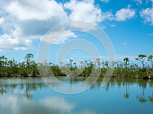 Panoramic landscape view of Blue hole lake, No Name Key, Florida