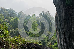 Panoramic landscape view of lush green forest of Kumta seen from Yana Caves located in Yana, Uttara Kannada, Karnataka, India photo