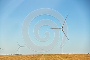 Panoramic landscape view of new white modern wind turbine farm power generation station against clear blue sky and field