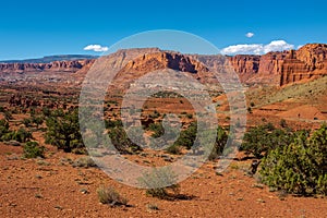 A panoramic landscape view of the red, rugged and barren Canyonlands National Park, Utah with the main road weaving its way