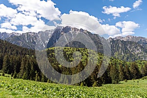 Panoramic view - Bucegi Mountains, Southern Carpathians, Romania