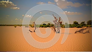 Panoramic landscape view to sahel and oasis Dogon Tabki with flooded river , Dogondoutchi, Niger