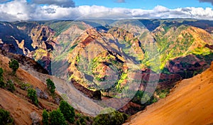 Panoramic landscape view of Waimea Canyon in Kauai, Maui