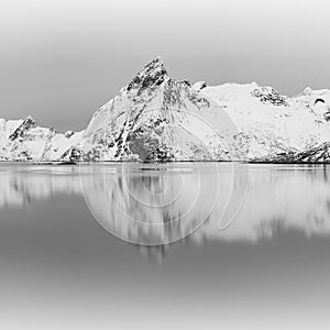 Panoramic landscape, winter mountains and fjord reflection in water. Norway, the Lofoten Islands. Colorful winter sunset.