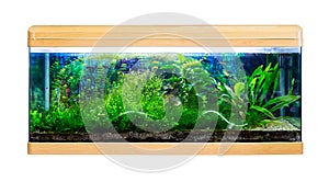 Panoramic large aquarium on white background