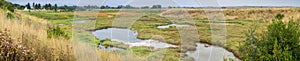 Panoramic Marsh Landscape, Shoreline Park, Mountain View, California