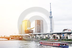 Panoramic modern city skyline bird eye aerial view with tokyo skytree under beautiful cloudy sky in Tokyo, Japan