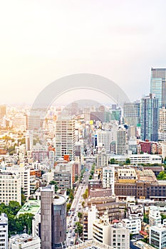 Panoramic modern cityscape building bird eye aerial view from tokyo tower under sunrise and morning blue bright sky in Tokyo, Japa