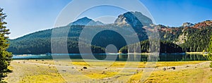 Panoramic morning view of Black Lake Crno Jezero. Calm summer scene of Durmitor Nacionalni Park, Zabljak location