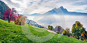 Panoramic morning view of outskirts of  Stansstad town, Switzerland, Europe. Foggy autumn scene of  Lucerne lake. Attractive lands