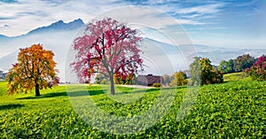 Panoramic morning view of outskirts of  Stansstad town, Switzerland, Europe. Misty autumn scene of  Lucerne lake. Bright landscape