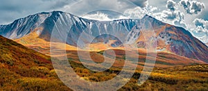 Panoramic motley autumn landscape with yellow dwarf birch on hills and beautiful rocky mountains in sunlight under dramatic sky.