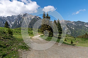 Panoramic mountain view - Carpathians Mountains, Romania