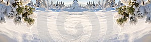 Panoramic Nature Winter snow landscape  background with snowy frozen pine tree, pine cone and icicle, in the beautiful Black