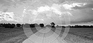 Panoramic Open Graven Road Rural Texas Black and White