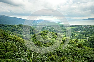 Panoramic overlooking view of green tropical vegetation