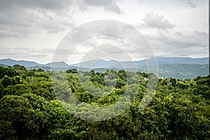 Panoramic overlooking view of green tropical vegetation