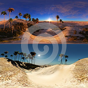 panoramic of palms in desert. made with the one 360 degree lense camera without any seams. ready for virtual reality