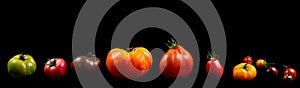 Panoramic Panning of heirloom tomatoes on black background