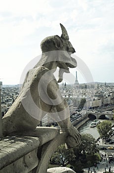 Panoramic of Paris with Gargoyle