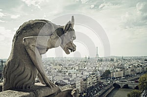 Panoramic of Paris with Gargoyle