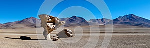 Panoramic photo of Arbol de Piedra near Uyuni in Bolivia. Rock formation. Selective focus