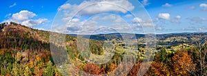 Panoramic photo of autumn forest landscape.