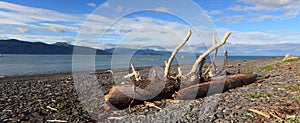 Panoramic photo of Kachemak Bay