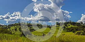 Panoramic photo of a landscape in Goias.