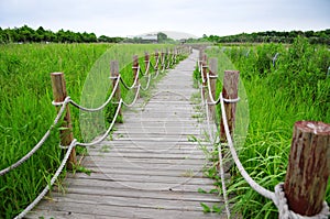 A small wooden bridge over a river in the wild and plants on the shore