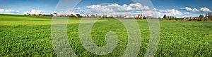 Panoramic photo of winter wheat and village on the horizon sky