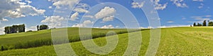 Panoramic picture with corn field and blue sky