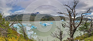 Panoramic picture of Lago Grey in Patagonia with floating iceberg photo