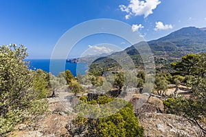 Panoramic picture of Soller