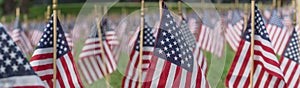 Panoramic row of lawn American flags display on green grass on Memorial Day in Dallas, Texas, USA