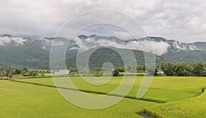 Panoramic rural scenery