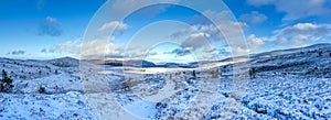 A panoramic scenic view of a snowy mountain trail track with small pine trees and mountain range summit in the background under a