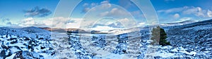 A panoramic scenic view of a snowy mountain trail track with small pine trees and mountain range summit in the background under a