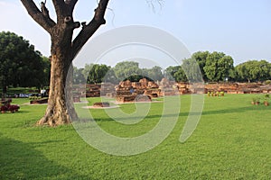 Ancient temple garden in Bikaner,India