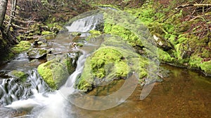 Panoramic shot of a beautiful water cascade and mossy stones in Cumberland County, Canada