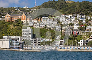 Panoramic shot of expensive real estate on Mt Victoria and Oriental Bay in Wellington, New Zealand photo