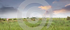 Panoramic shot of a farm in the Philippines