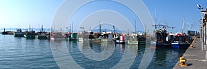 Panoramic shot of Kalk Bay Harbor fishing boats in Cape Town, South Africa.