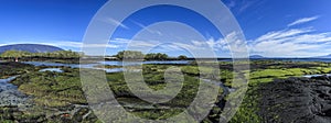 Panoramic shot of a landscape and river in Fernandina island in The Galapagos Islands