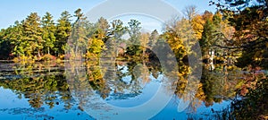 Panoramic shot of a pond reflecting an autumn forest, Old Sturbridge Village, USA