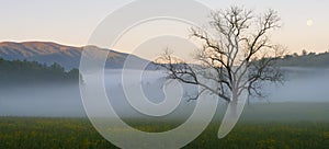 Panoramic shot of the soft sunrise in Cades Cove in Great Smoky Mountains National Park