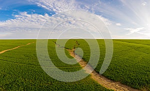 Panoramic shot of soil erosion caused by water, aerial view of a green field at day time