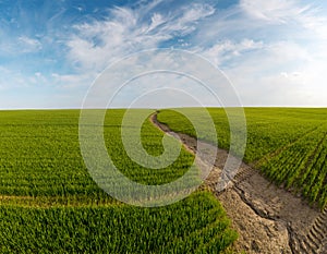 Panoramic shot of soil erosion caused by water, aerial view of a green field at day time