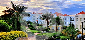 Panoramic shot of white buildings surrounded by bushes and palm trees